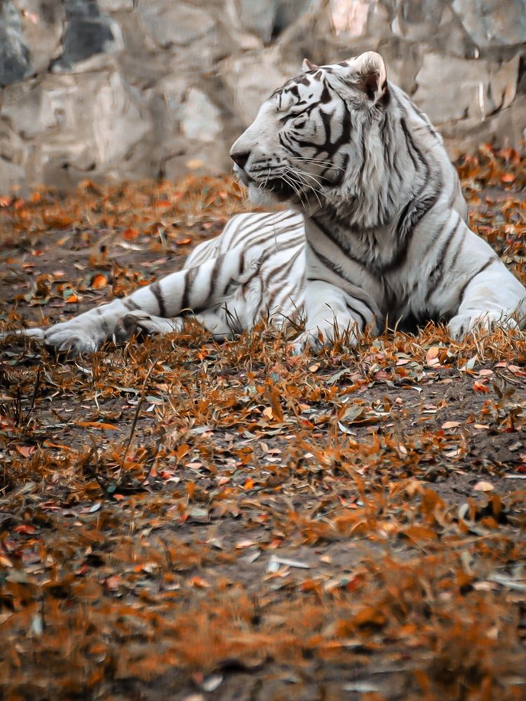 Photograph by Денис Бочаров