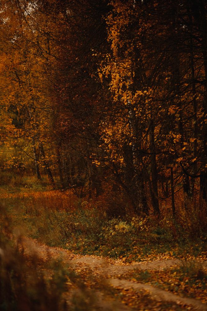 Photograph by Наталия