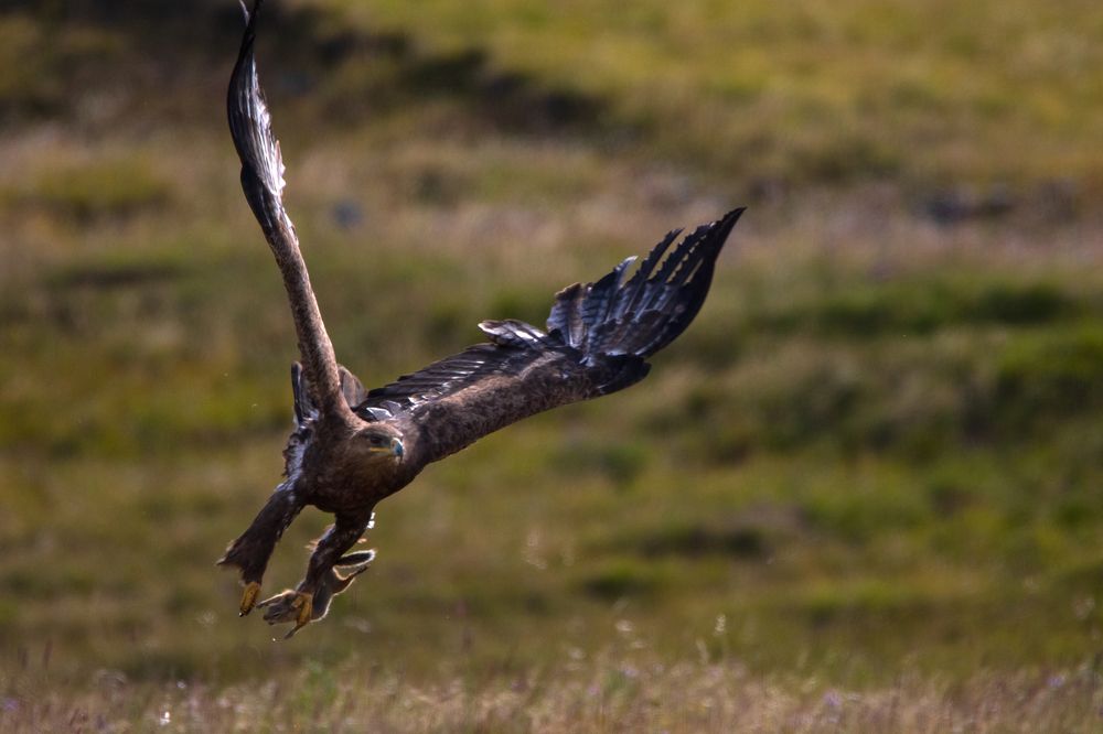 Photograph by Татьяна Нурхайдарова