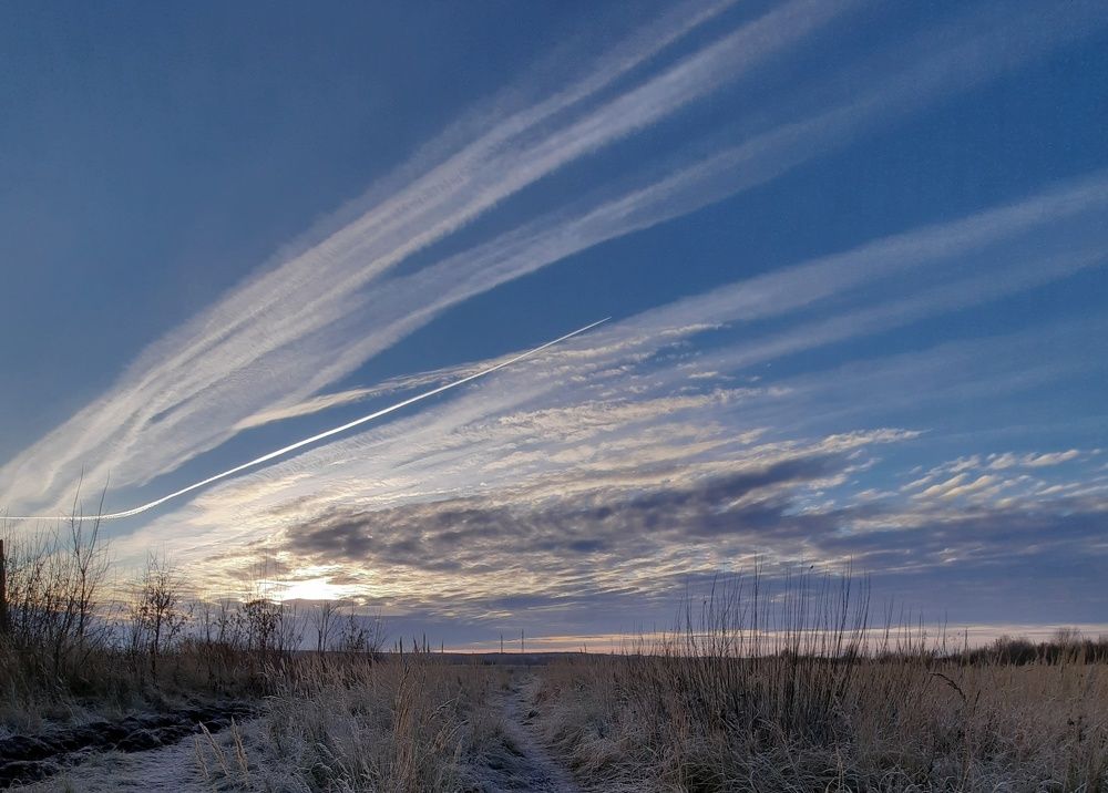 Фотография автора Ольга Кунакова