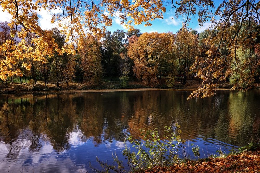 Photograph by Наталья Сафронова