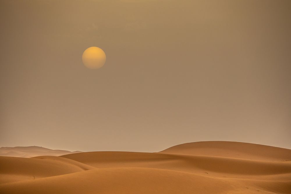 Photograph by Adrian Grigore