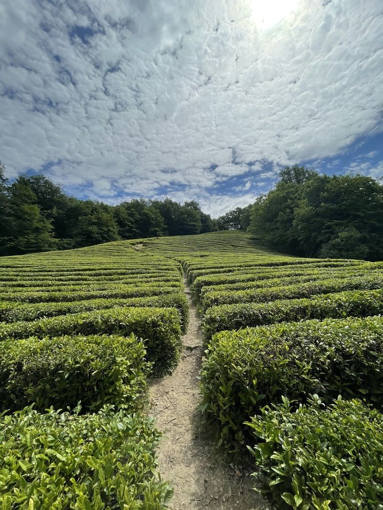 Photograph by РУСЛАН