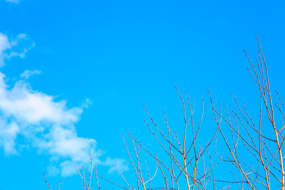 Photograph by Елизавета