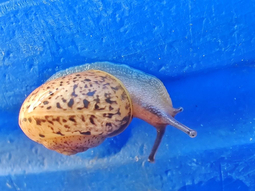 Photograph by Алексей Царевский