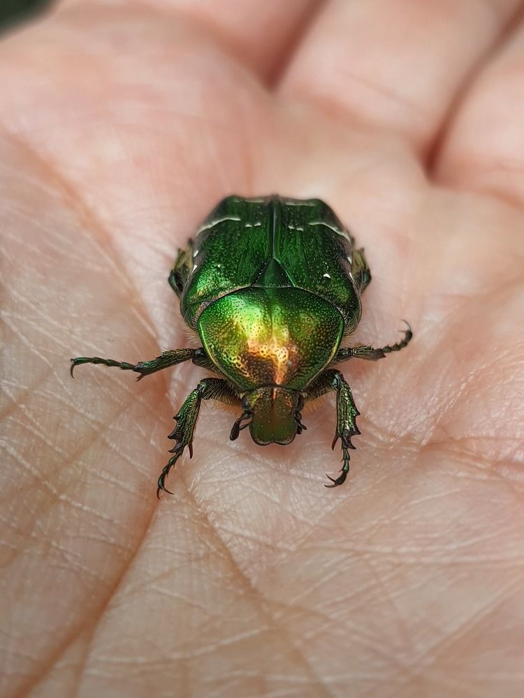 Photograph by Ольга Лукина