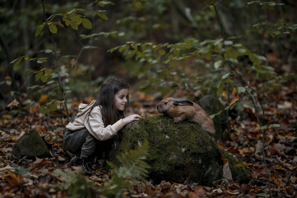 Girl and rabit in the forest