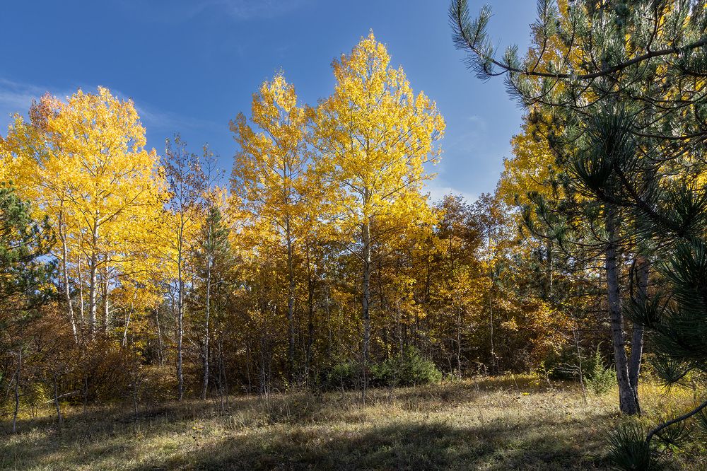 Photograph by Sajkovski Dejan