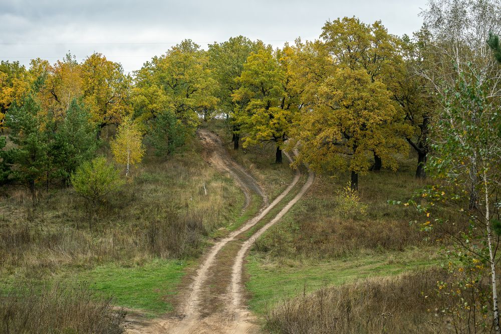 Photograph by Алёна Останкова