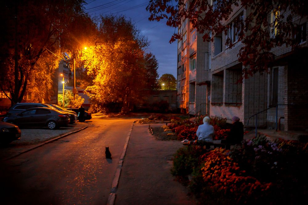 Photograph by Алексей Трифонов