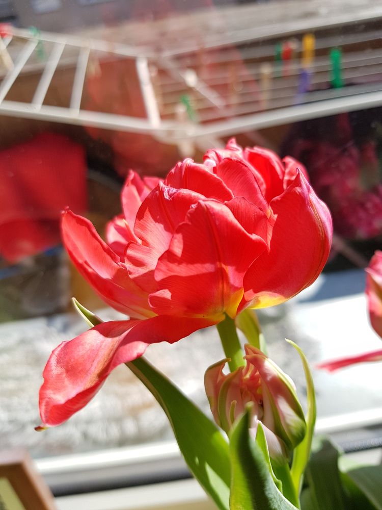 Photograph by Dmitrij Zykunov