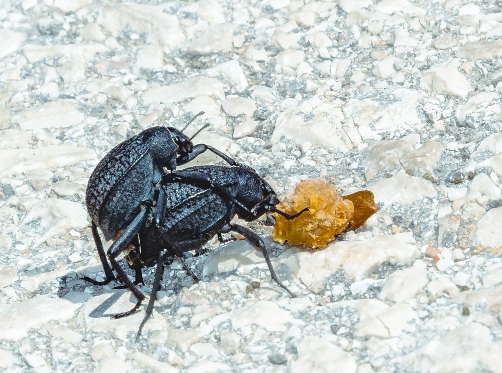 Photograph by Михаил Заброцкий