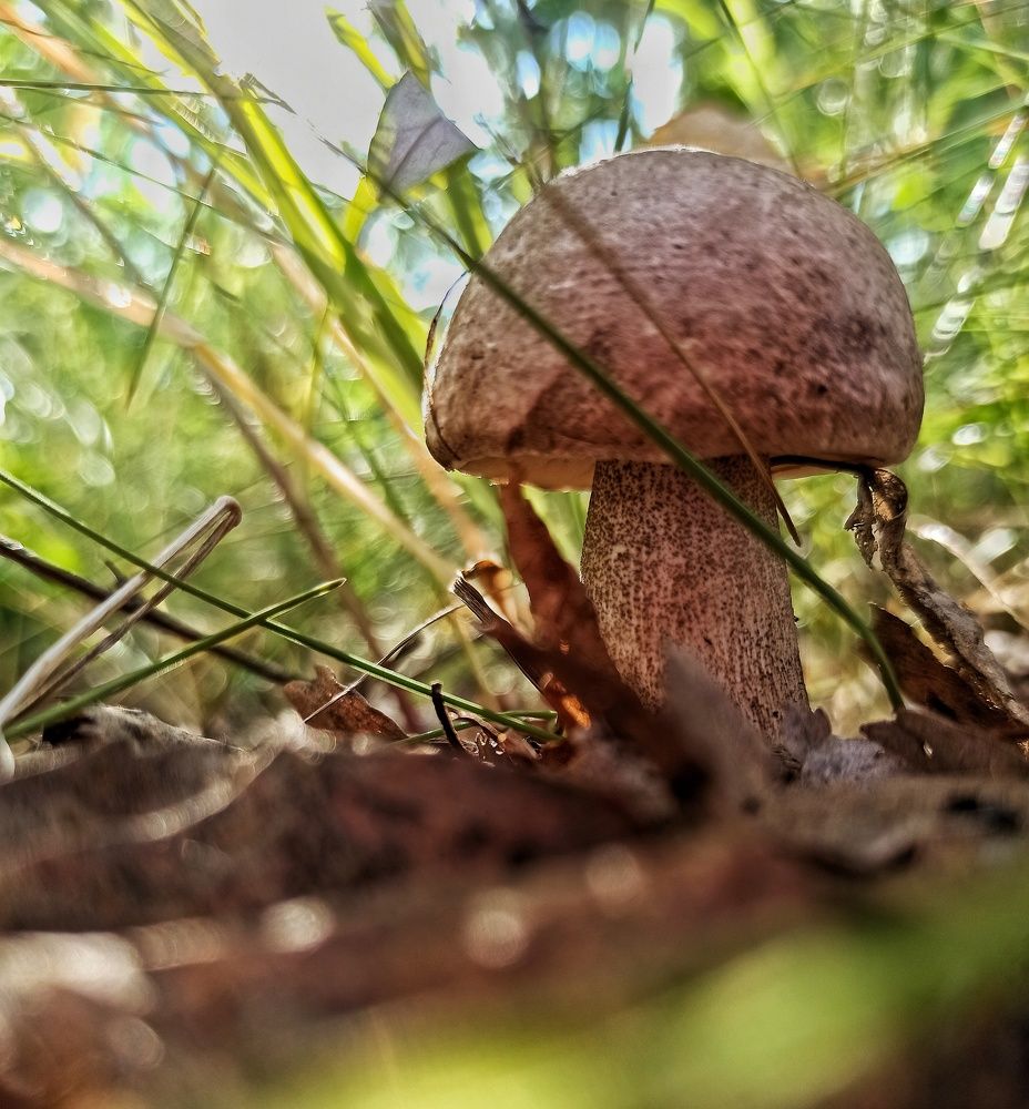 Photograph by Евгения Акишева