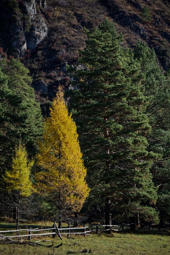 Photograph by Михаил Рогачев