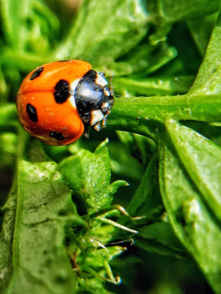 Photograph by Татьяна Григорчук