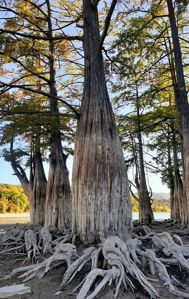 Photograph by Natalya Vasilenko