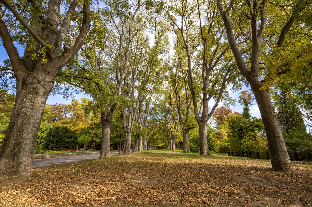 Photograph by Едуард Зайончковски