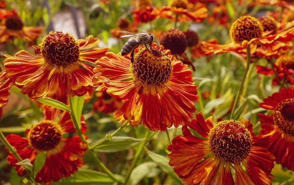 Photograph by IRINA KORNEVA