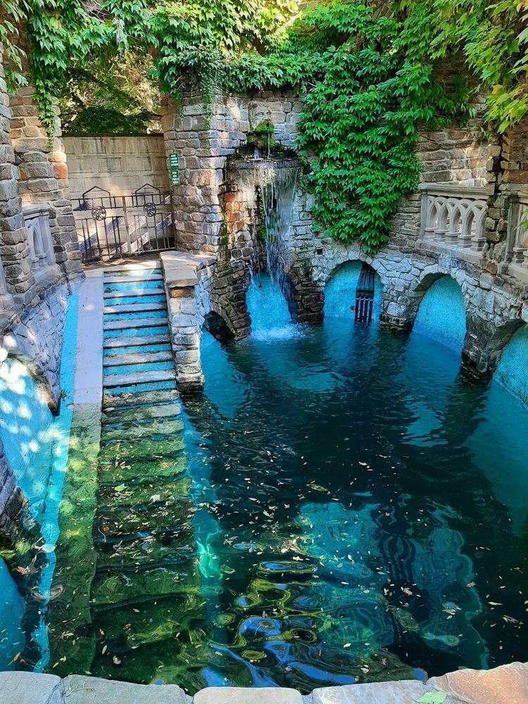 Photograph by Natalya Vasilenko