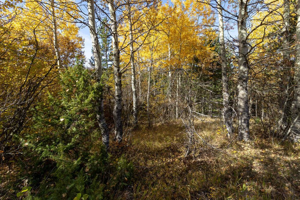 Photograph by Sajkovski Dejan