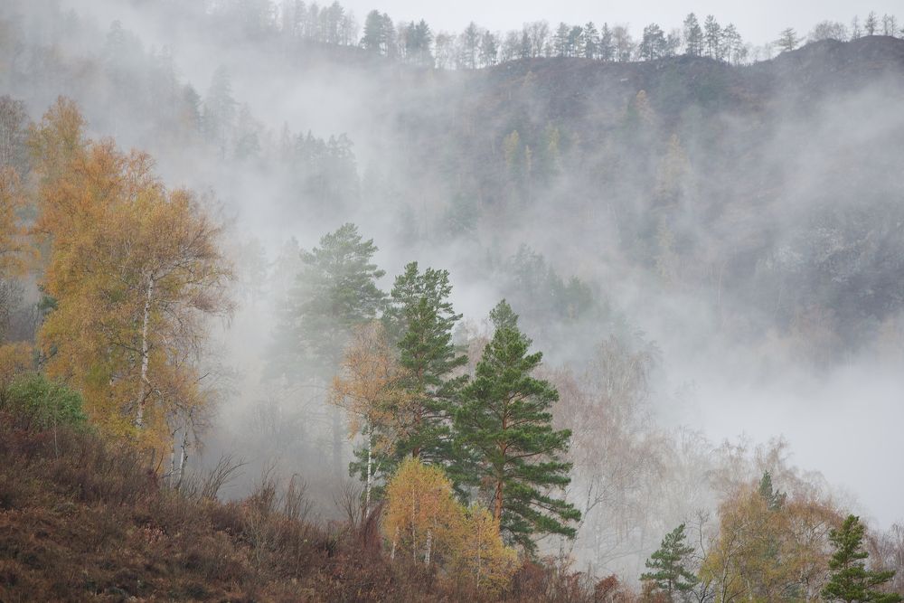 Photograph by Михаил Рогачев