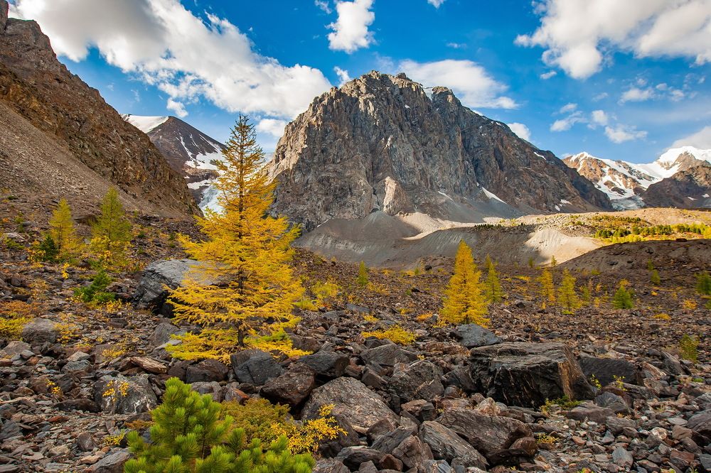 Photograph by Виктор