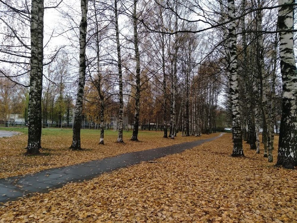 Photograph by Ася Кузьмина