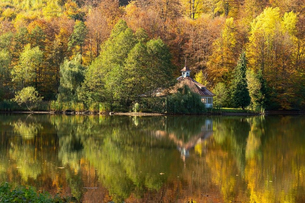 Фотография автора Ирина Зайцева