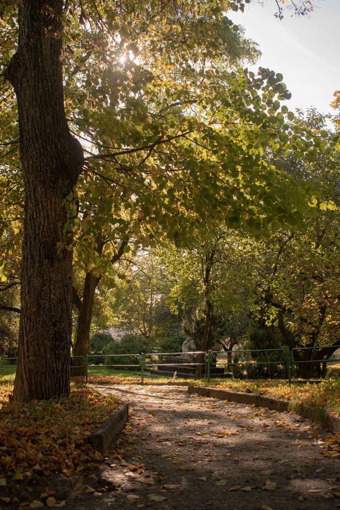 Photograph by Надежда