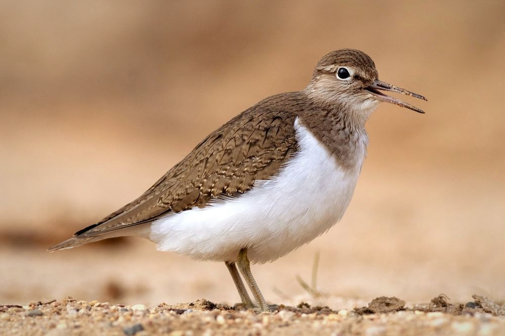 Photograph by Павел Краснослободцев