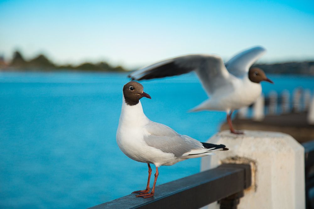 Photograph by Елена Сандалова