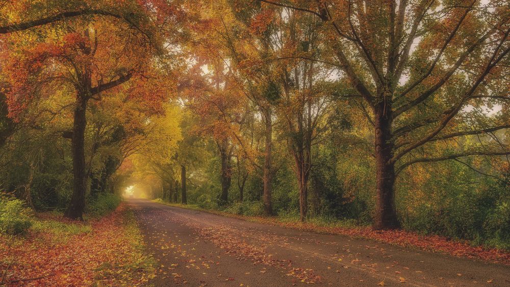 Photograph by wendy klein