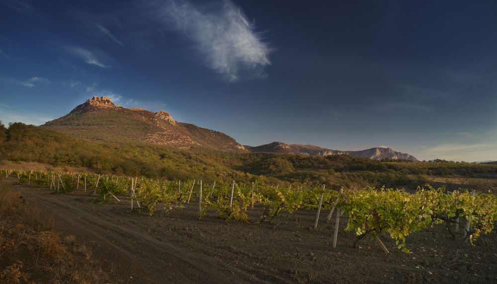 Фотография автора Перевозчиков Андрей