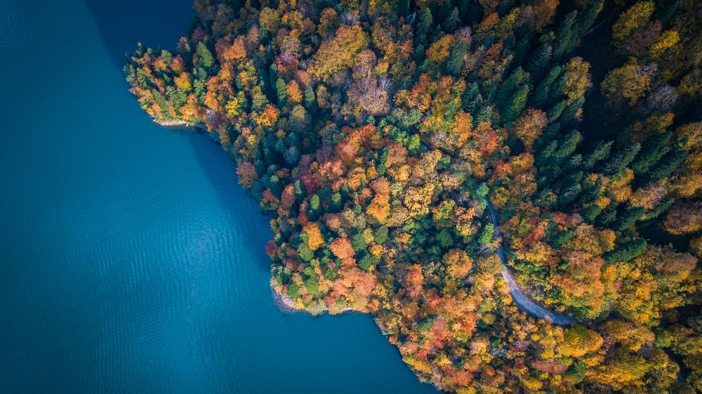Фотография автора Перевозчиков Андрей