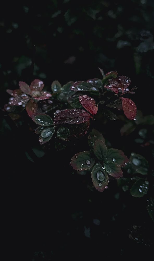 Photograph by Oxana Petlina