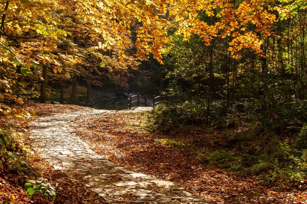 Фотография автора Ирина Зайцева