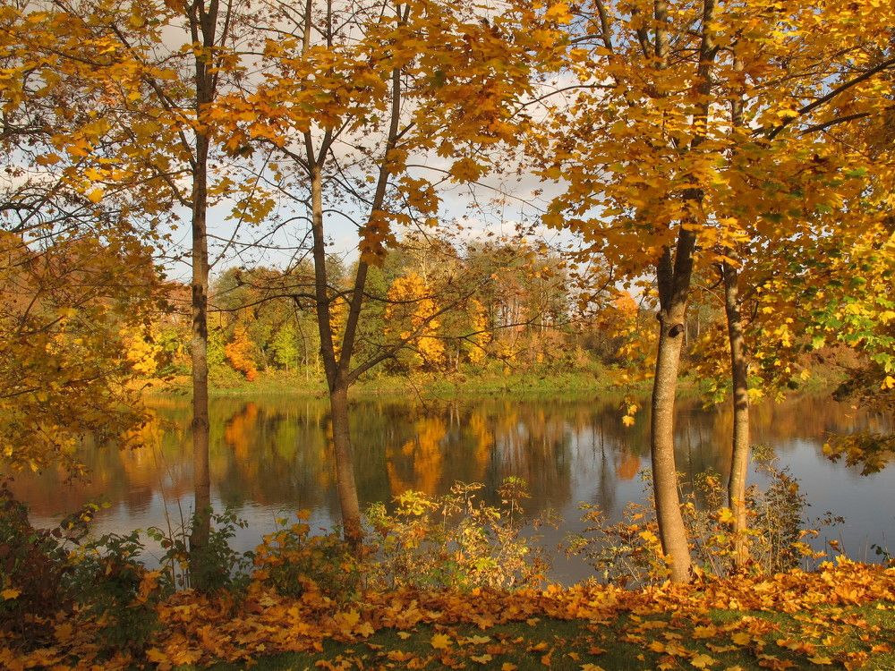 Фотография автора ТАТЬЯНА ЗАХАРОВА
