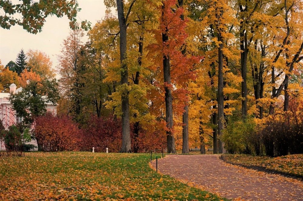 Photograph by Inna Oshe