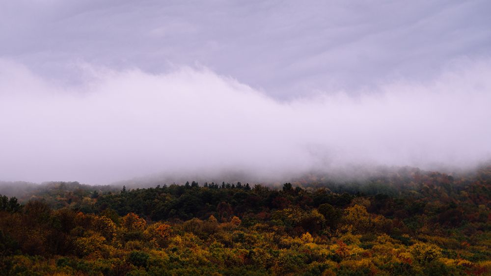 Photograph by Oleg Kozachok