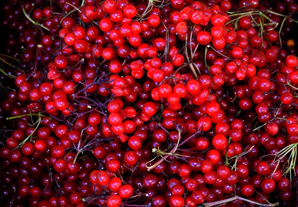 Photograph by Танзиля Завьялова