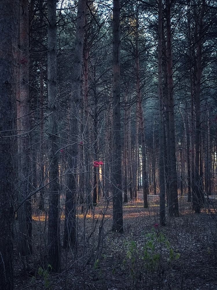 Photograph by Елена Дегтяренко