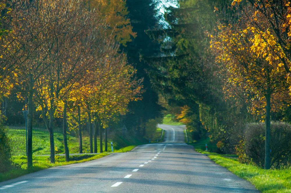 Photograph by Анастасия