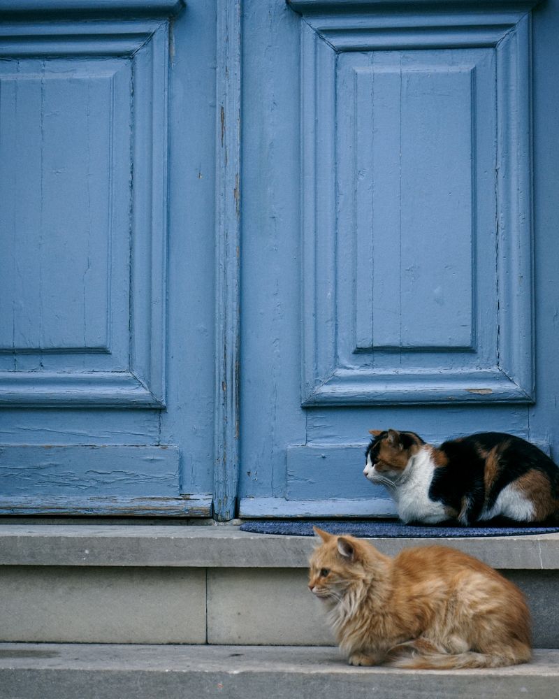 Photograph by Ирина Шпак