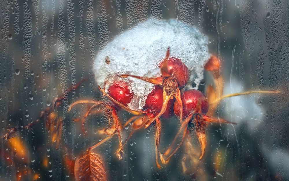 Photograph by Елена Репьева