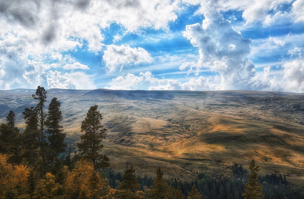 Фотография автора Evgeniya Fedorova