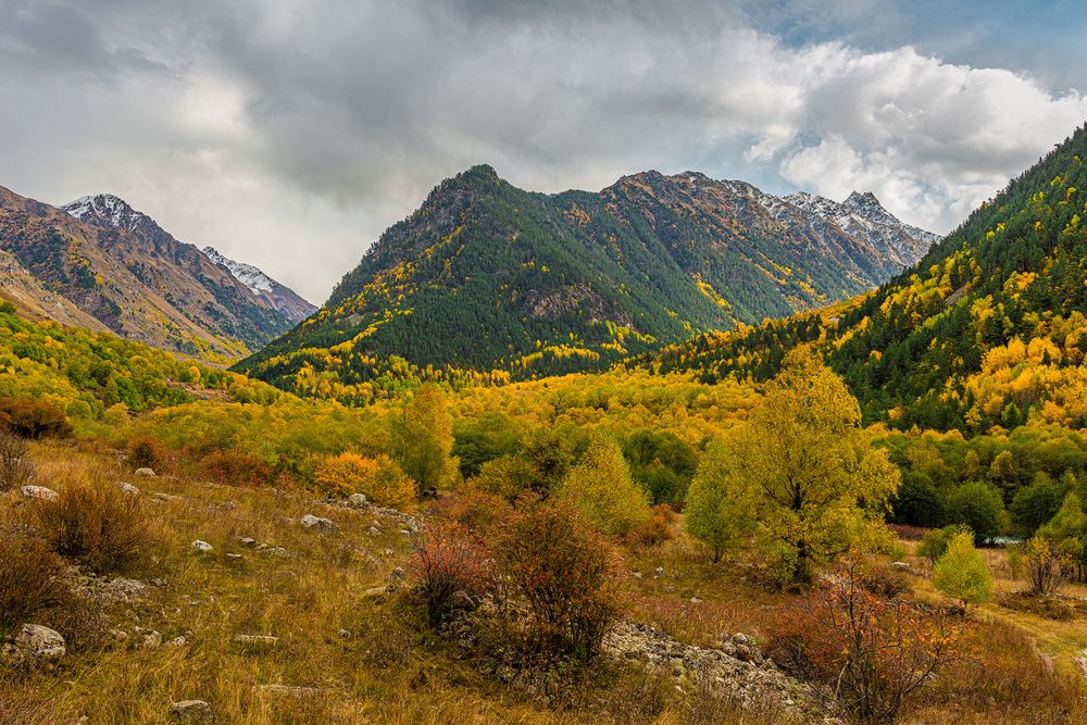 Photograph by Anatoly