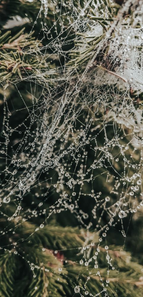 Photograph by Natalia