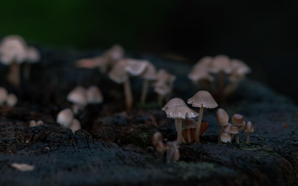 Photograph by Марина Магадиева