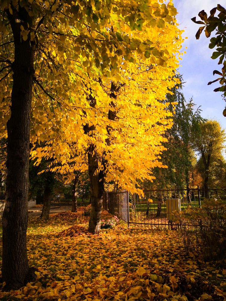 Photograph by Наталья