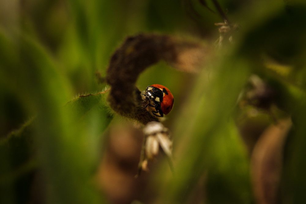 Photograph by SOUFIANE EL KADAOUI